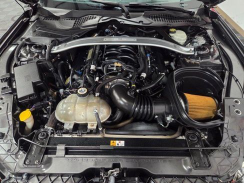 Used 2016 Ford Mustang Shelby GT350 w/ Technology Package RWD image 80