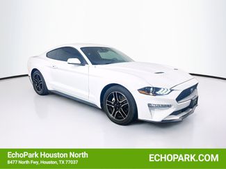 Used 2023 Ford Mustang Premium RWD video 1