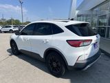 Used 2020 Ford Escape SE Sport image 3