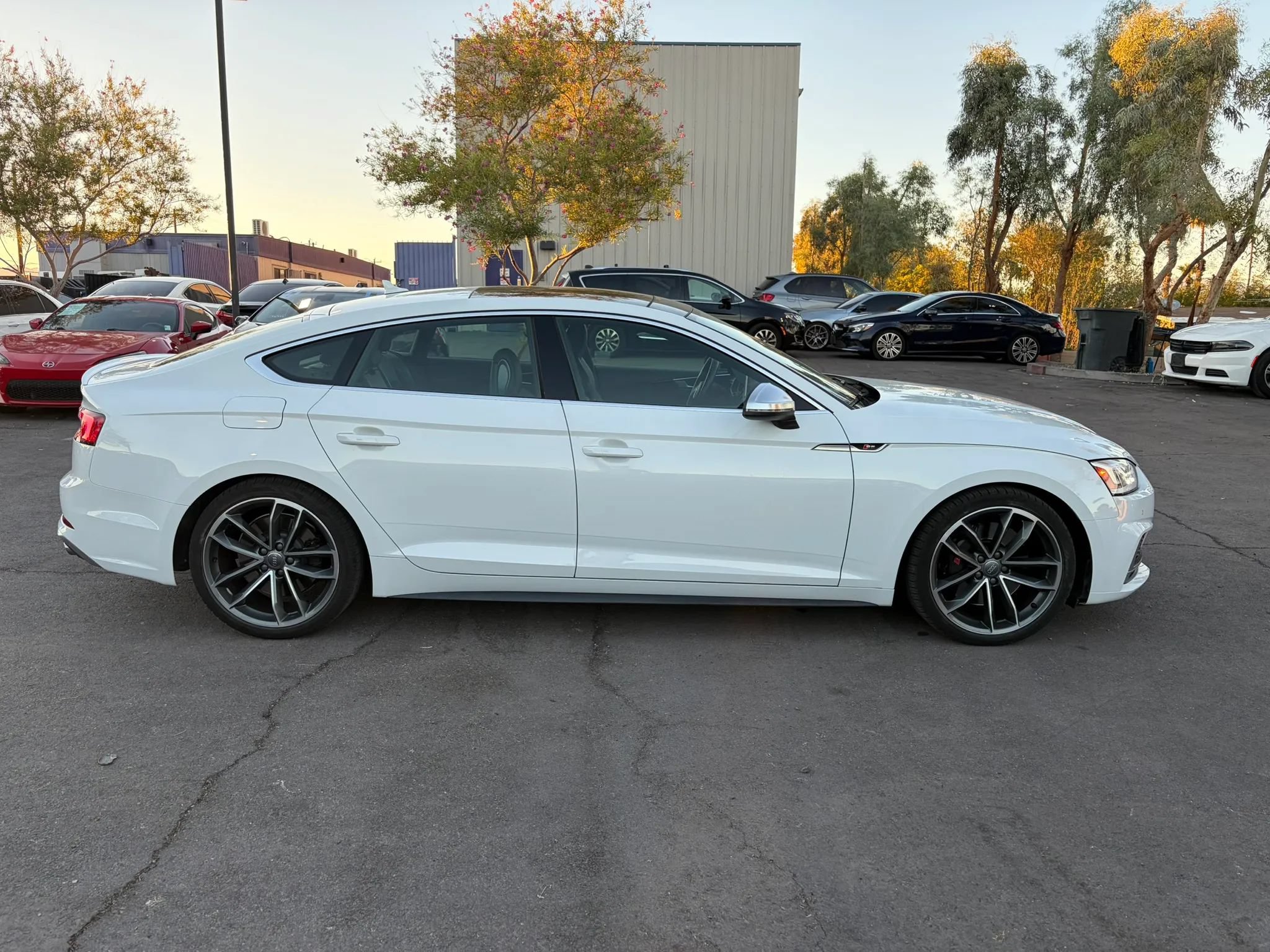 Used 2019 Audi S5 Premium Plus w/ Premium Plus AWD/4WD image 3