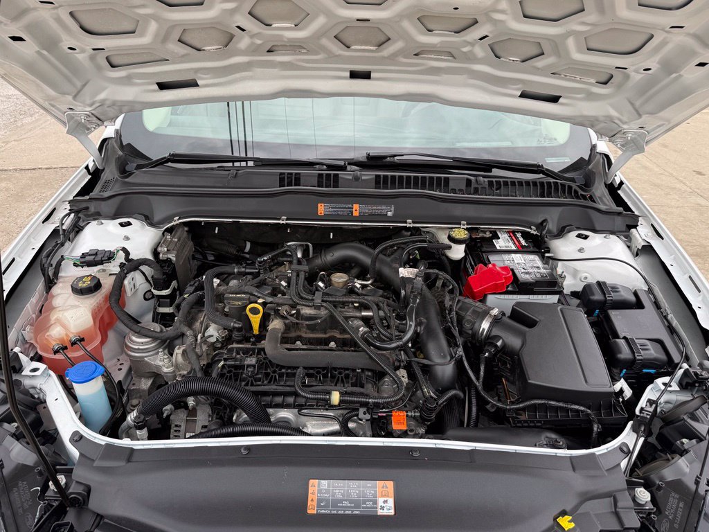 Used 2019 Ford Fusion SE FWD image 13