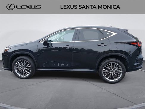 Used 2023 Lexus NX 350 350 Luxury image 8