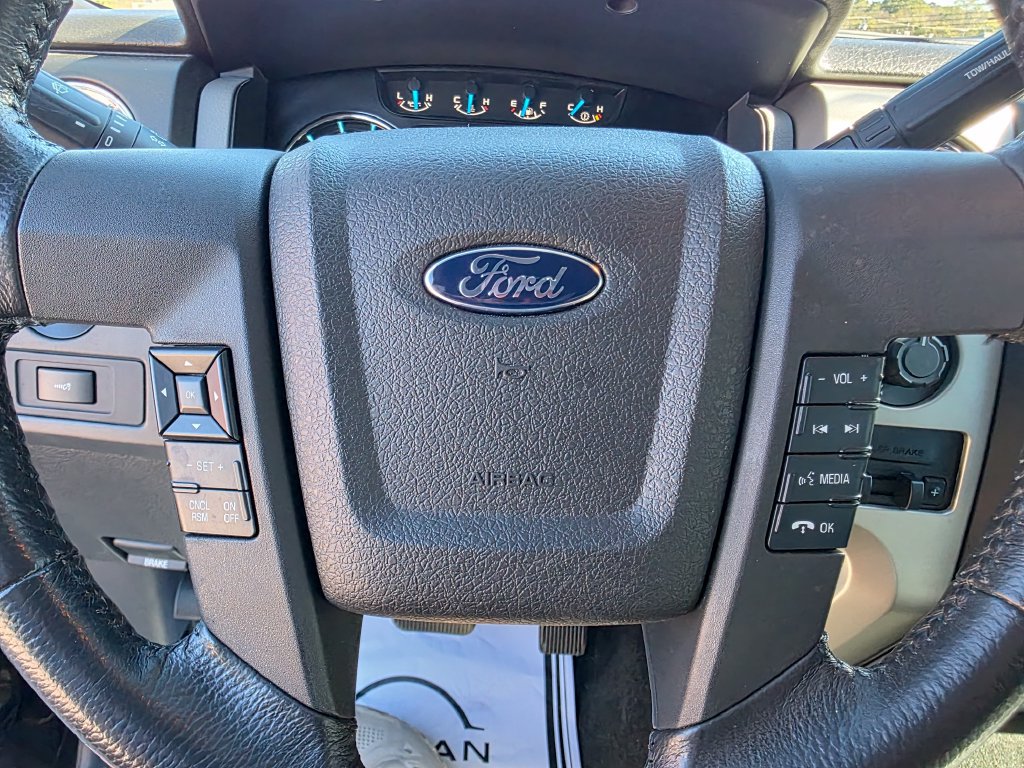 Used 2014 Ford F150 XLT w/ Equipment Group 302A Luxury AWD/4WD image 41
