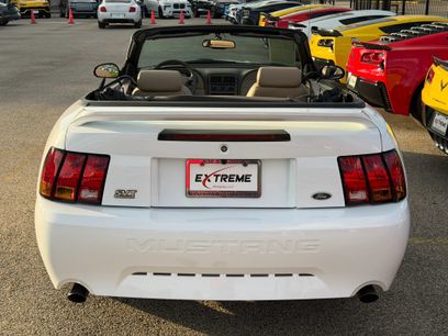 Used 1999 Ford Mustang Cobra