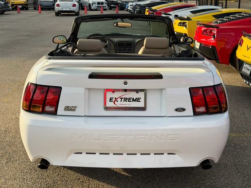 Used 1999 Ford Mustang Cobra RWD image 3