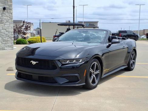Used 2024 Ford Mustang Premium RWD image 3