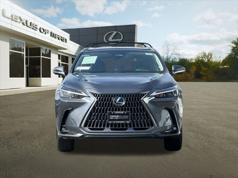 Used 2025 Lexus NX 350h AWD w/ Cold Area Package image 6