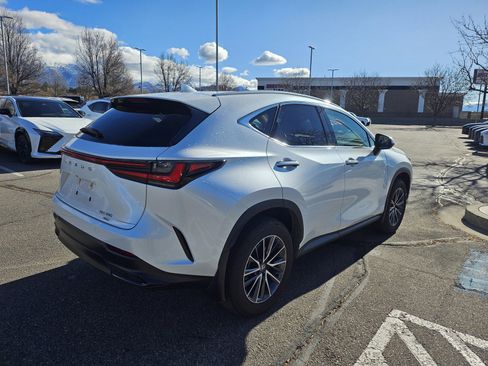 Used 2025 Lexus NX 350 AWD w/ Luxury Package image 5