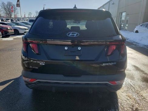 Used 2024 Hyundai Tucson Blue image 6
