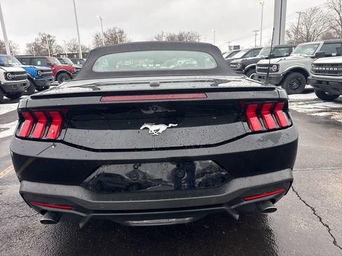Used 2025 Ford Mustang Premium image 8