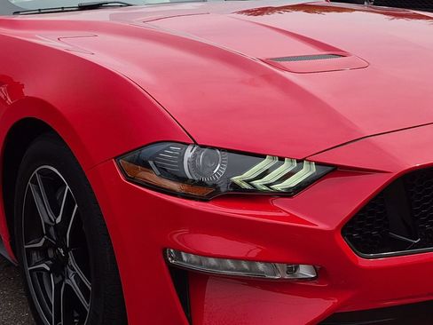 Certified 2019 Ford Mustang GT Premium w/ Ford Safe & Smart Package RWD image 17