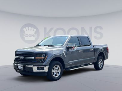 Used 2024 Ford F150 XLT w/ Equipment Group 302A MID