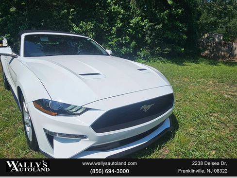 Used 2019 Ford Mustang Convertible image 5
