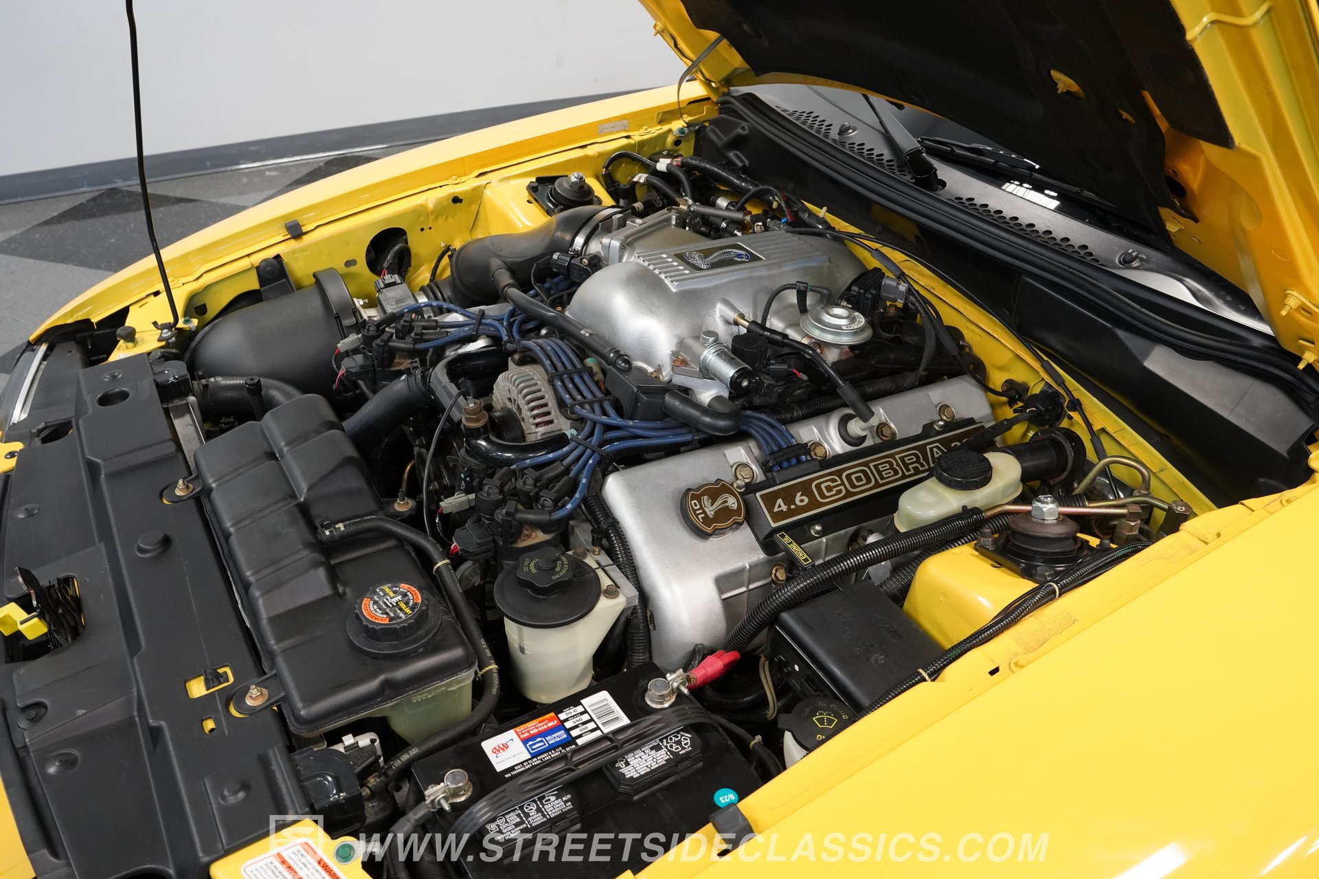 Used 1998 Ford Mustang Cobra RWD image 33