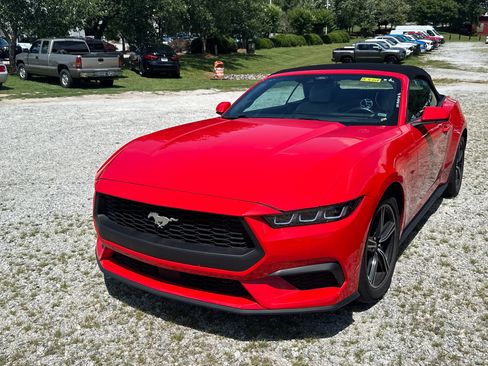 Used 2025 Ford Mustang Premium RWD image 1