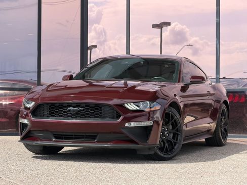 Used 2018 Ford Mustang Premium w/ Ecoboost Performance Package RWD image 2