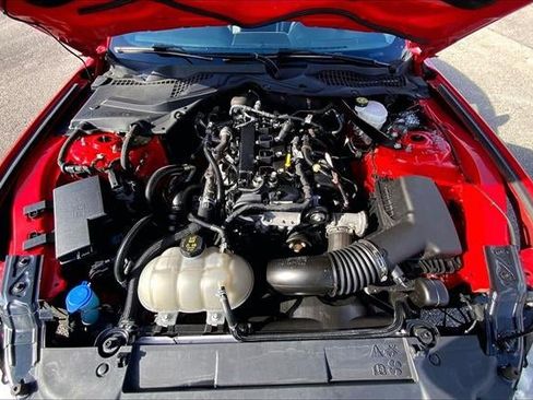 Used 2022 Ford Mustang Premium w/ Equipment Group 201A image 8