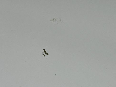 Used 2002 Ford F150 Lariat image 32