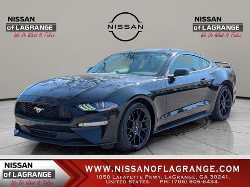 Used 2019 Ford Mustang Premium w/ Ecoboost Performance Package image 1