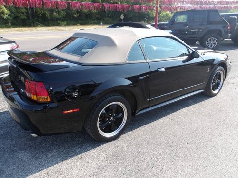Used 1999 Ford Mustang Cobra RWD image 5