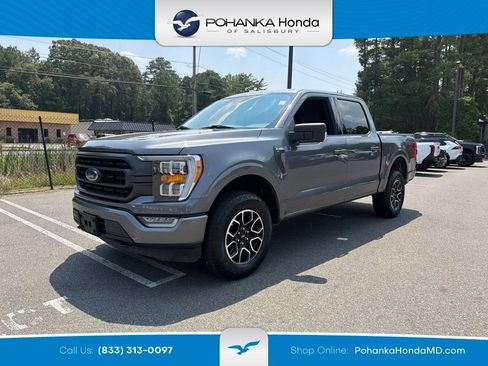 Used 2023 Ford F150 XLT w/ Equipment Group 302A High AWD/4WD image 1