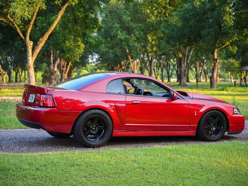 Used 2003 Ford Mustang Cobra RWD image 2