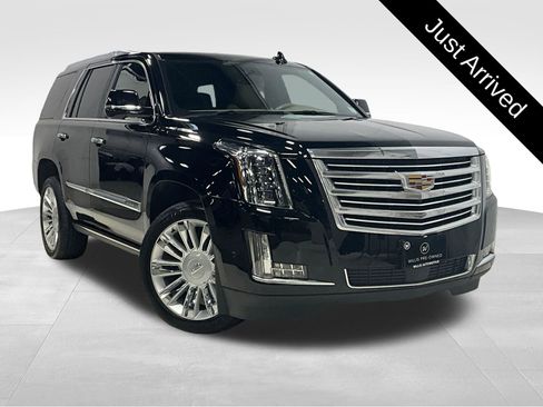 Used 2020 Cadillac Escalade Platinum image 1