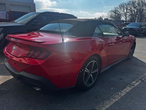 Certified 2024 Ford Mustang Premium image 4