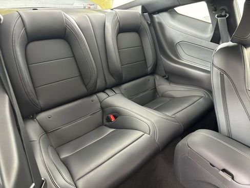 New 2025 Ford Mustang GT Premium w/ Mustang Nite Pony Package image 24