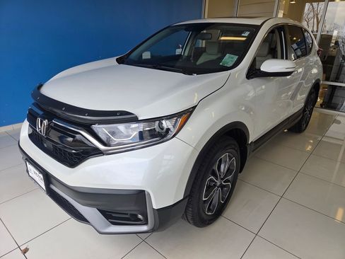 Used 2020 Honda CR-V EX-L image 1