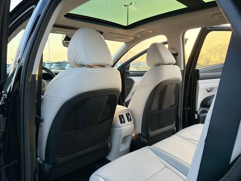 New 2026 Hyundai Tucson Limited AWD/4WD image 6