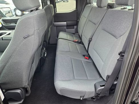 Used 2025 Ford F150 XLT w/ Equipment Group 301A Standard AWD/4WD image 9
