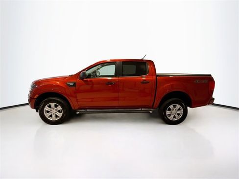 Used 2019 Ford Ranger XLT image 4