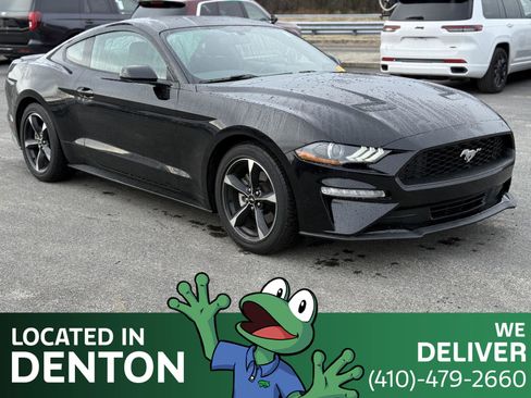 Used 2019 Ford Mustang Coupe w/ Equipment Group 101A image 3