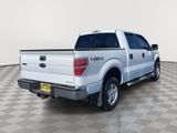 Used 2011 Ford F150 XLT w/ Trailer Tow Pkg image 3