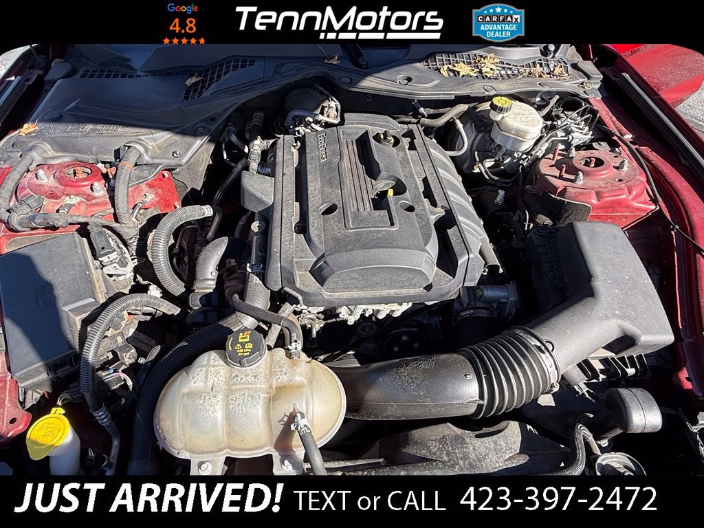 Used 2019 Ford Mustang Coupe w/ Black Accent Package RWD image 11