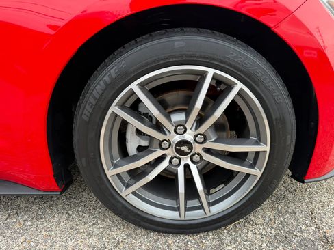 Used 2015 Ford Mustang Premium w/ Equipment Group 201A RWD image 12