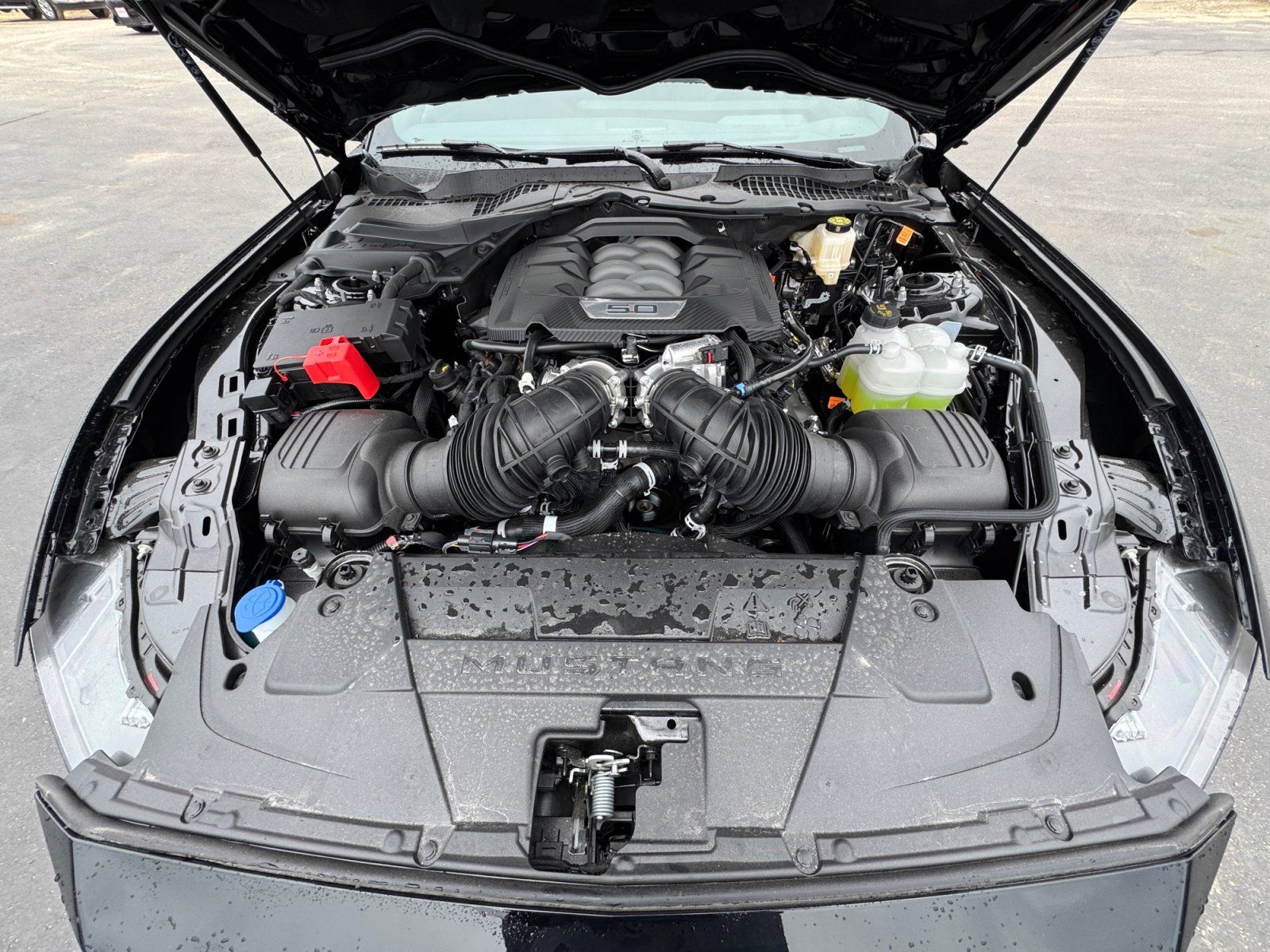 New 2026 Ford Mustang GT Premium RWD image 33