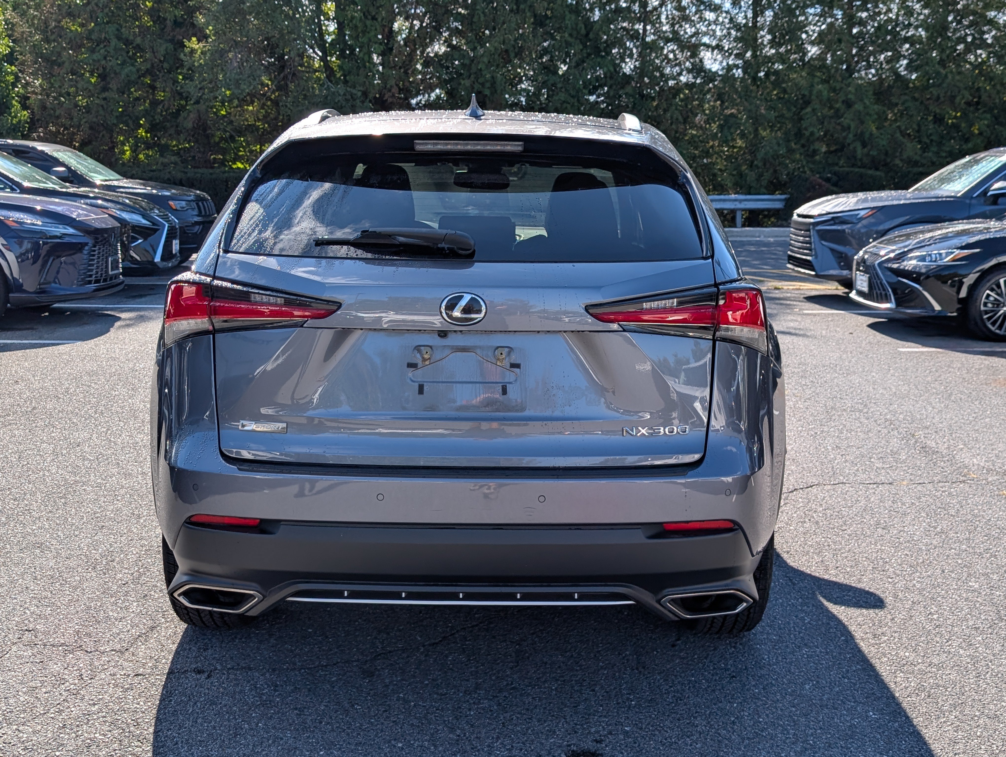Used 2020 Lexus NX 300 F Sport w/ F Sport Premium Package AWD/4WD image 4
