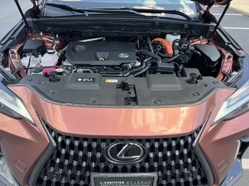 Used 2025 Lexus NX 350h AWD w/ Cold Area Package image 24