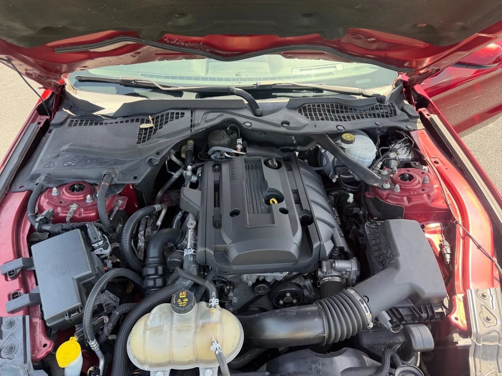 Used 2019 Ford Mustang Premium w/ Equipment Group 201A RWD image 20