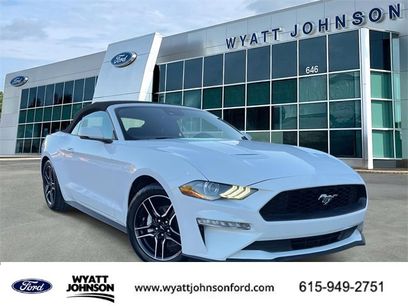 Used 2023 Ford Mustang Premium w/ Equipment Group 201A