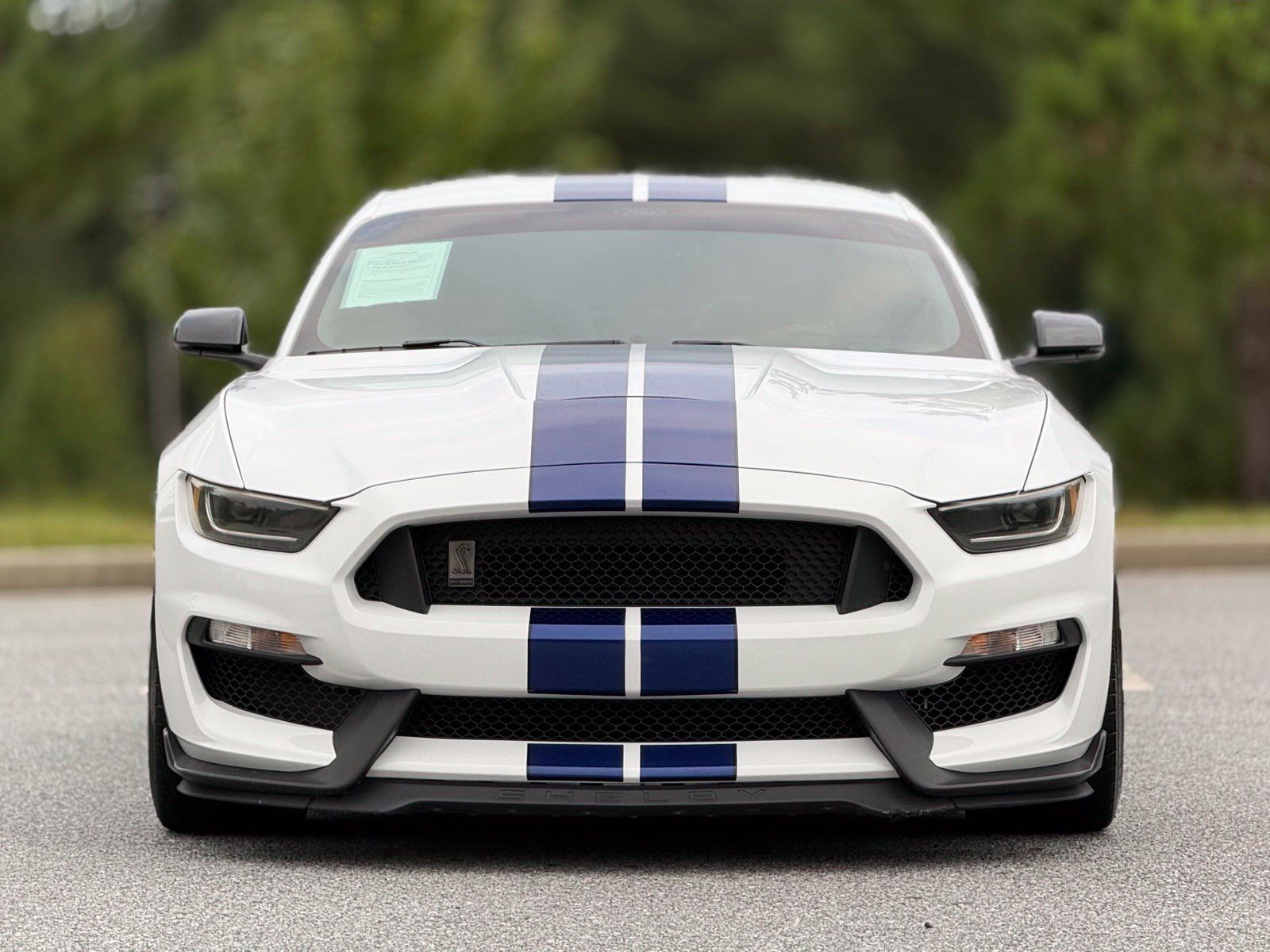 Used 2016 Ford Mustang Shelby GT350 w/ Technology Package RWD image 3