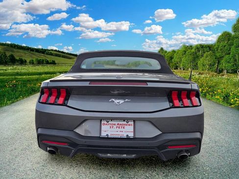 Used 2024 Ford Mustang Premium RWD image 5