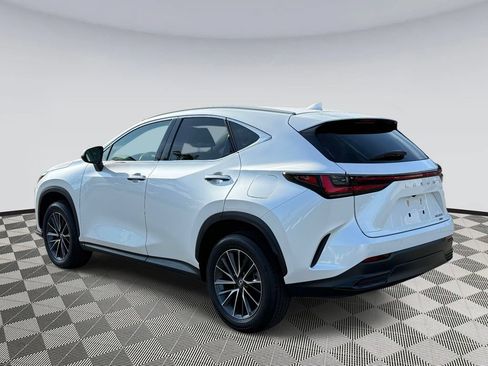 Used 2025 Lexus NX 350 AWD w/ Cold Area Package image 4