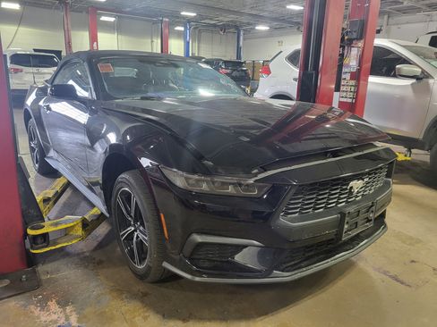 Used 2025 Ford Mustang Premium RWD image 3