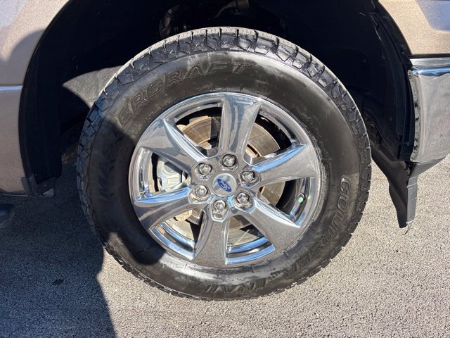 Used 2019 Ford F150 XLT w/ Equipment Group 301A Mid RWD image 8