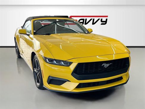 Used 2024 Ford Mustang Premium image 1