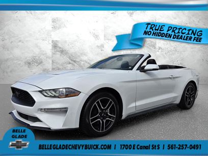 Used 2019 Ford Mustang Premium