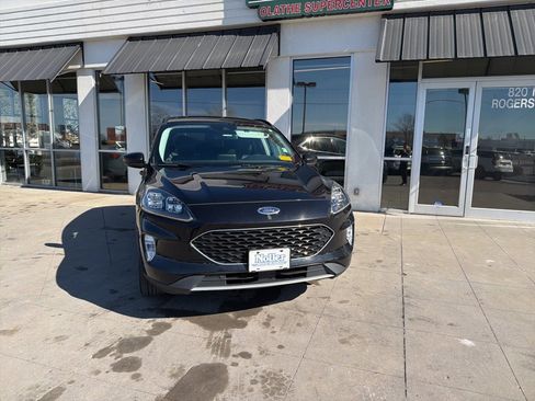 Used 2022 Ford Escape Titanium image 2